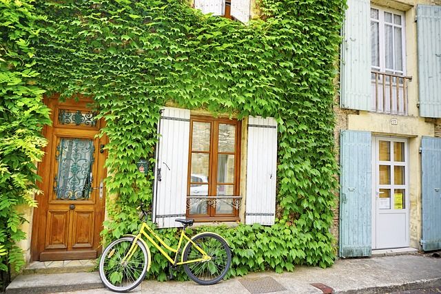 Kletterpflanzen sind ein natürlicher Schutz für die Hauswand bzw. Fassade.